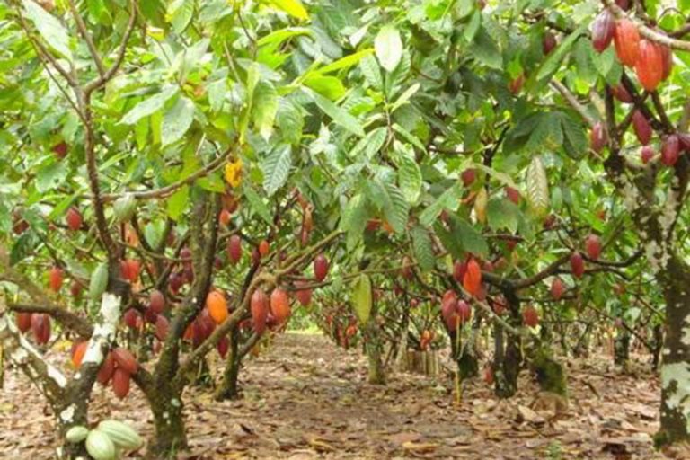 up_ag_24646_4f5f4663-1b25-4cd8-4dba-8d12940acafe (1)